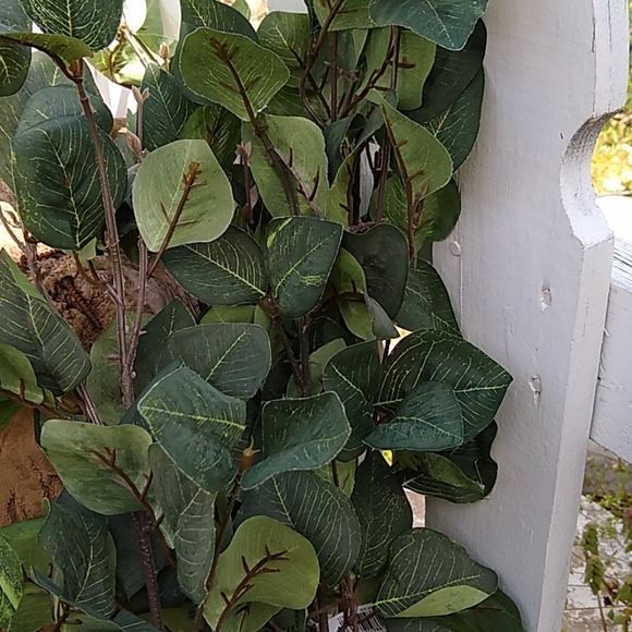 FLORALS - Picture 3 of 6